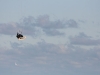 waveriding-fly-a-kite-ruegen-schaabe-2009-11